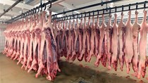 Cấp đông thịt lợn có phải là giải pháp an toàn?