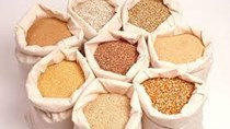 Thức ăn gia súc và nguyên liệu xuất sang thị trường Banglasesh tăng đột biến