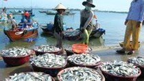 Nghệ An: Nỗ lực nâng tầm giá trị thủy hải sản