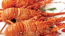 Phú Yên: Tôm hùm chết hàng loạt do nước lũ đổ về