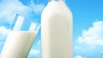 Giá sữa thế giới tăng 8 tuần liên tiếp 