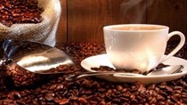 Bản tin thị trường cà phê ngày 25/11