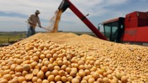 Nông sản Việt vào Hàn và cơ hội VKFTA