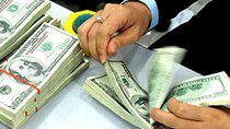 Bộ Ngoại giao cảnh báo tâm lí đầu cơ, găm giữ USD và ngoại tệ mạnh 