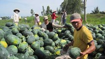  Trong cơn lốc mua-bán những thứ kỳ quặc