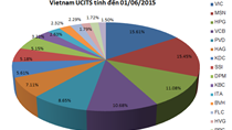 Review FTSE Vietnam ETF: HHS lần đầu vào danh mục, loại PPC