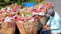  Hàng nông, thủy sản Việt Nam đã có những đối thủ cạnh tranh