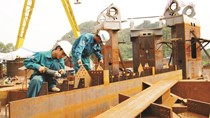 Từ trường hợp PVX, nghĩ lại độ tin cậy báo cáo kiểm toán của Big 4