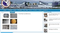Kế toán trưởng Công ty Khoáng sản Na Rì Hamico bị bắt về tội làm giả con dấu