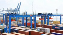 Đau đầu với 5.000 container “vô chủ' ở Hải Phòng