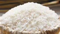 Xuất khẩu gạo giảm 94%
