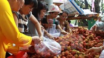  "Bài toán" trái cây Việt Nam: Thừa lượng nhưng vẫn thiếu chất