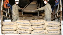 6 tháng đầu năm, tiêu thụ xi măng nội địa tăng trưởng khả quan