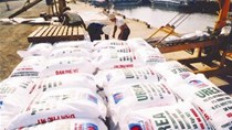Giá phân Urê tăng mạnh