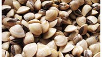 Xuất khẩu nhuyễn thể 2 mảnh vỏ tăng nhẹ