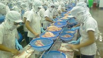 Giảm áp lực cho doanh nghiệp thủy sản