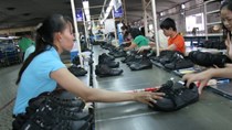 Khả năng cung ứng nguyên phụ liệu ngành da giày VN thấp