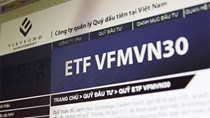 Quý II quỹ ETF VFMVN30 lãi ròng 13,6 tỷ, 6 tháng lãi 6 tỷ