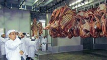 Nga sẽ bán thịt qua Việt Nam