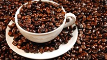 Bản tin thị trường cà phê ngày 23/7