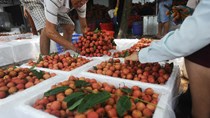 Bắc Giang thu hơn 4.000 tỷ đồng từ vụ vải