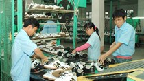 Doanh nghiệp da giày bỏ quên thị trường nội địa 5 tỷ USD