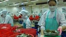 Tiến sĩ kể chuyện bán tôm, dầu thô ở Nhật