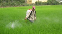 Bảy tháng, VN nhập trên 9.000 tỷ thuốc trừ sâu và nguyên liệu 