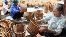  Ngành mây tre đan: Thị trường lớn, khai thác nhỏ