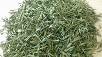 Cỏ ngọt khô có thuế xuất khẩu từ 0 đến 10%