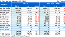 SRC: Chi phí kinh doanh giảm, lãi quý 2 đạt 27 tỷ, tăng hơn 40% cùng kỳ