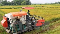 Thủ tướng chỉ đạo tổng điều tra nông thôn, nông nghiệp và thủy sản