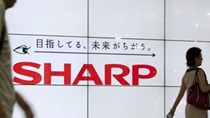 Sharp lỗ ròng 5 năm liên tiếp