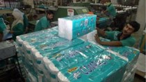 Tập đoàn giấy Malaysia đàm phán đơn hàng 5,2 triệu USD tại Việt Nam
