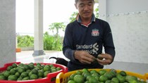 40kg chanh không bằng một ổ bánh mì!