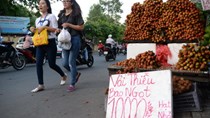 Quả vải Bắc Giang thắng lớn