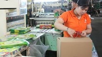  Doanh nghiệp nhựa lo ngại trước đối thủ cạnh tranh từ Thái Lan