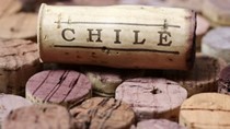 Chile lần đầu tiên kỷ niệm "Ngày Rượu vang quốc gia" 