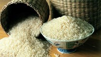 Việt Nam đề nghị Trung Quốc tăng nhập khẩu gạo