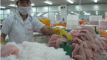  Hợp đồng đăng ký xuất khẩu cá tra đạt hơn 721.000 tấn