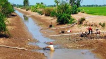 ĐBSCL thiếu nước ngọt trầm trọng