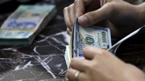 “Tỷ giá VND/USD sẽ không tăng đột biến”