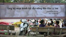 Tỏi Lý Sơn cháy hàng lấy đâu 300 tấn ế ở Hà Nội? 