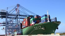  Lượng tàu vào cảng Cái Mép đã tăng 40%