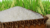 Chỉ số giá gạo giảm 3% do bị cạnh tranh tại thị trường Trung Quốc