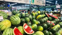 Xuất khẩu rau quả không thể trông chờ việc mở cửa trở lại từ thị trường Trung Quốc