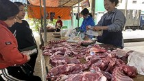 TT miền Trung và Tây Nguyên: Giá thịt heo chưa giảm sâu do tái đàn chậm