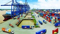 Doanh nghiệp logistics: Làm sao để vượt “bão” Covid-19?