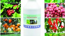 Nhập khẩu thuốc trừ sâu và nguyên liệu quý 1/2020 giảm hơn 20%