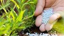 Quý 1/2020, phân bón xuất xứ từ Trung Quốc chiếm 40,1% thị phần